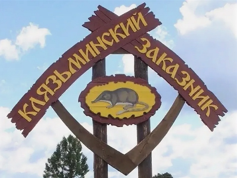Заказник "Клязьминский" особо охраняемые природные заповедники заказники