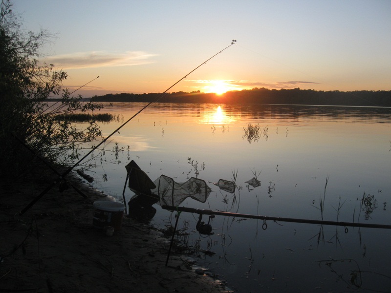 "Крокодилы" на вечерней зорьке ловля карася весной