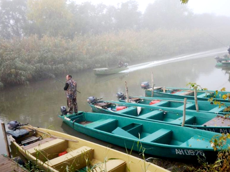 Ерик дельты Волги рыба в волге запасы