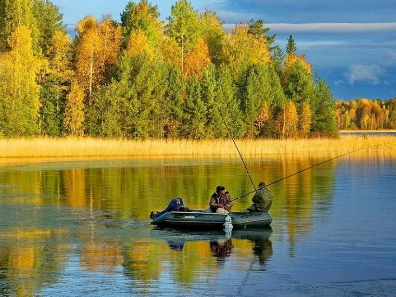 рыбалка осенью