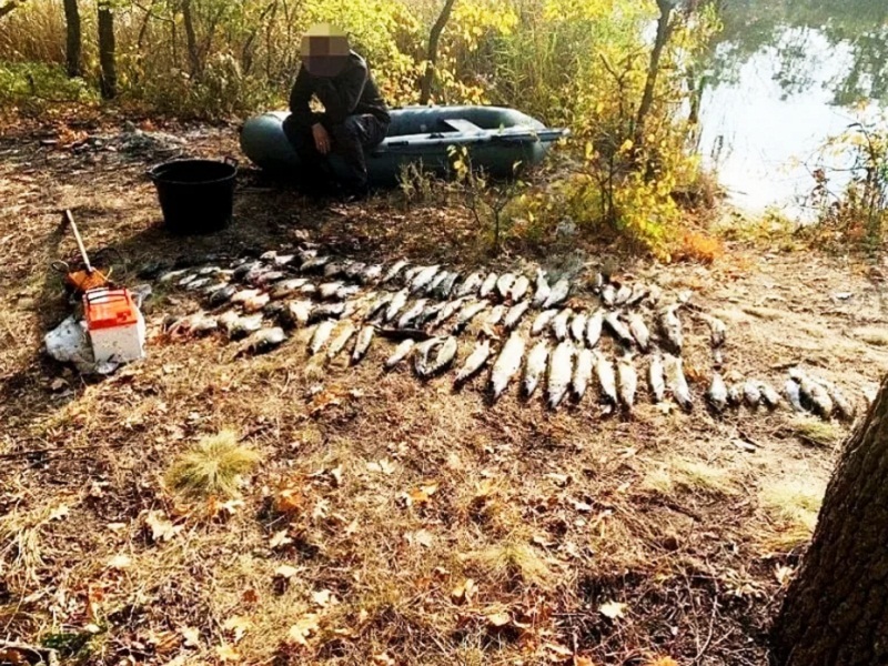 Его задержали с поличным ловля электроудочкой
