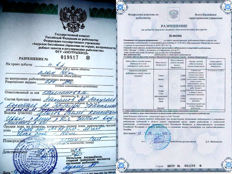 Разрешения на ловлю рыбы сетью «Амур-М». Фото: МК.RU