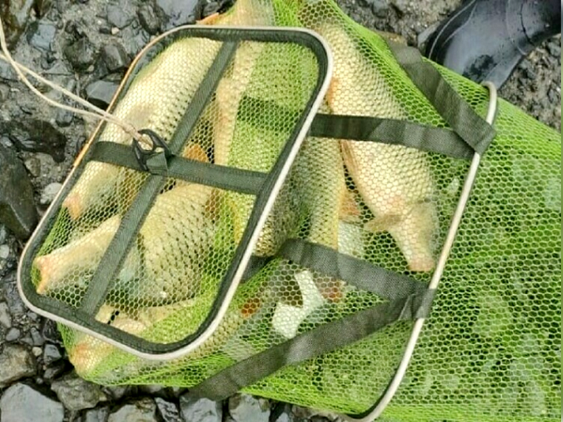 А если взвесить? штраф за рыбалку