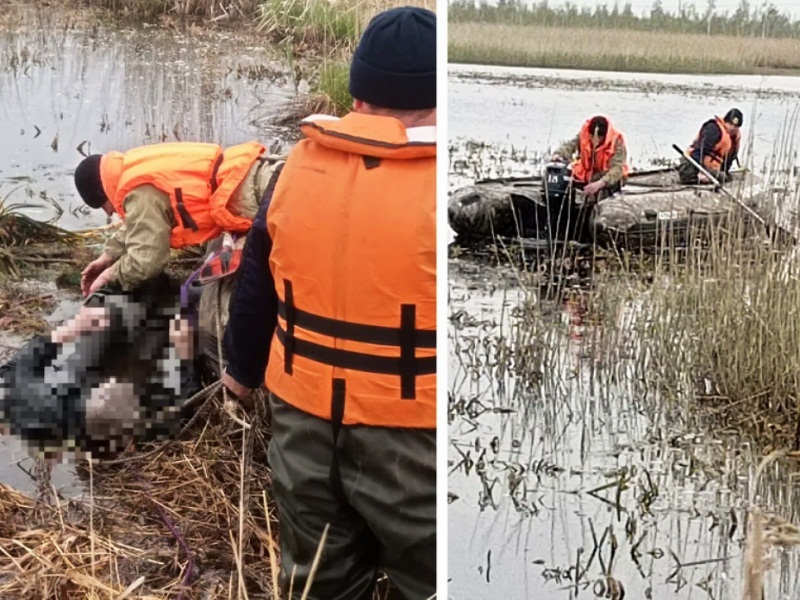 Погибли с сетях несчастные случаи на воде