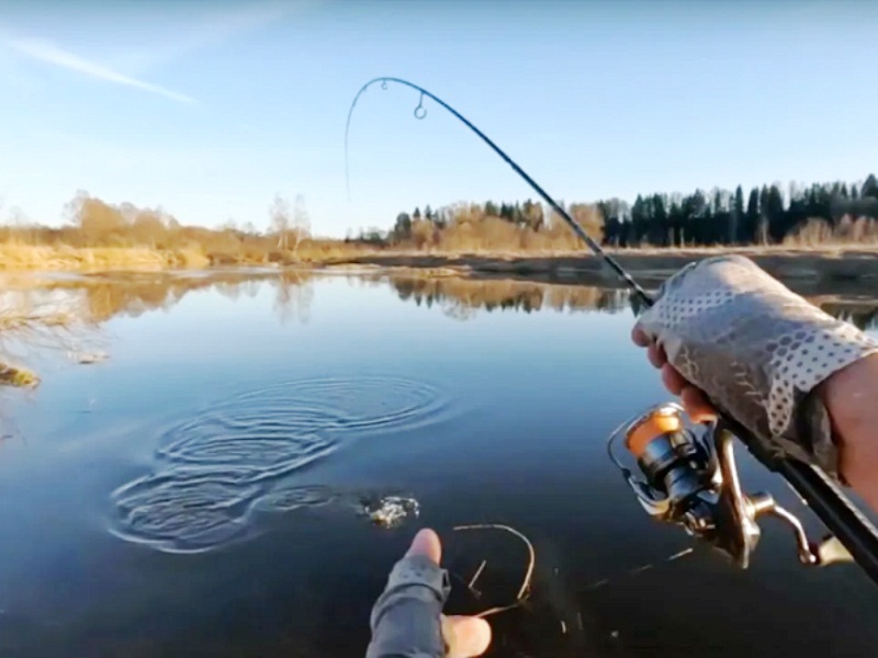 "Джигует" ловля судака на джиг