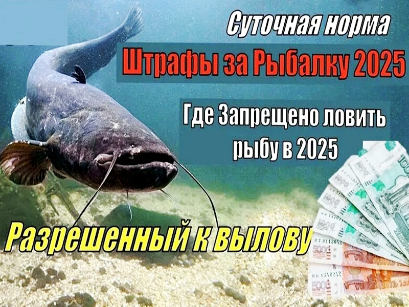 Всё больше ограничений штрафы за рыбалку