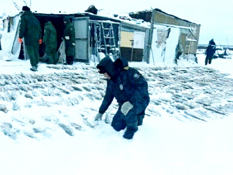Поймали чуток браконьерство рыбы