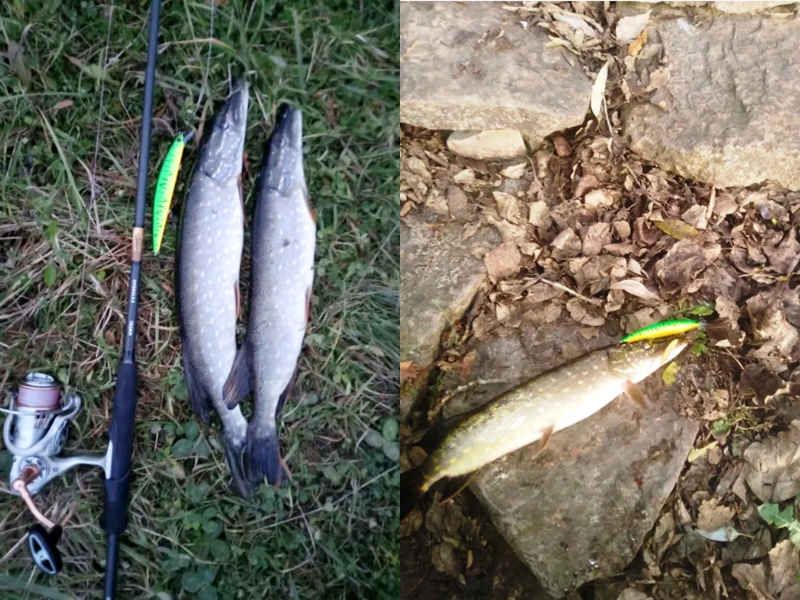 В подтверждение отзывов рыбалка со спиннингом