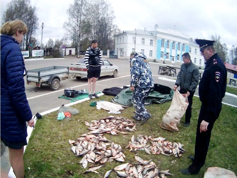 Обыскивают автомобиль досмотр машины