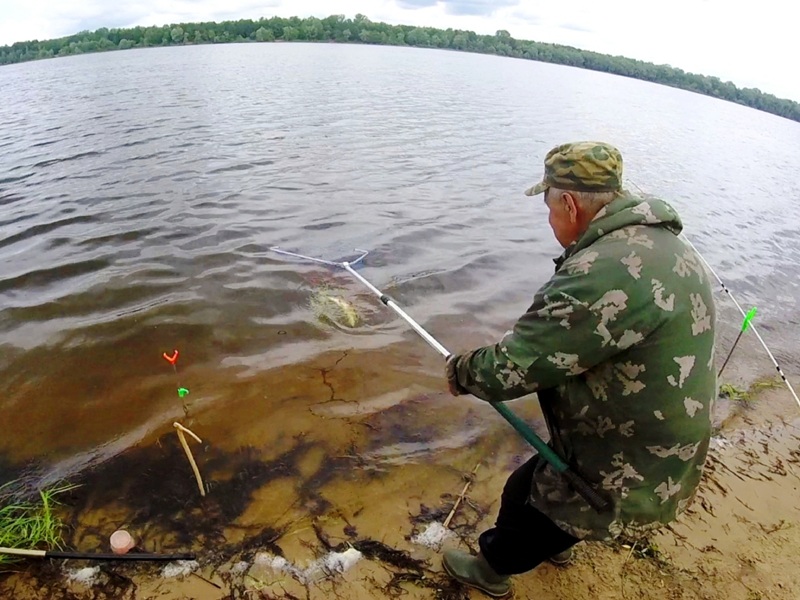 ловля леща  на волге