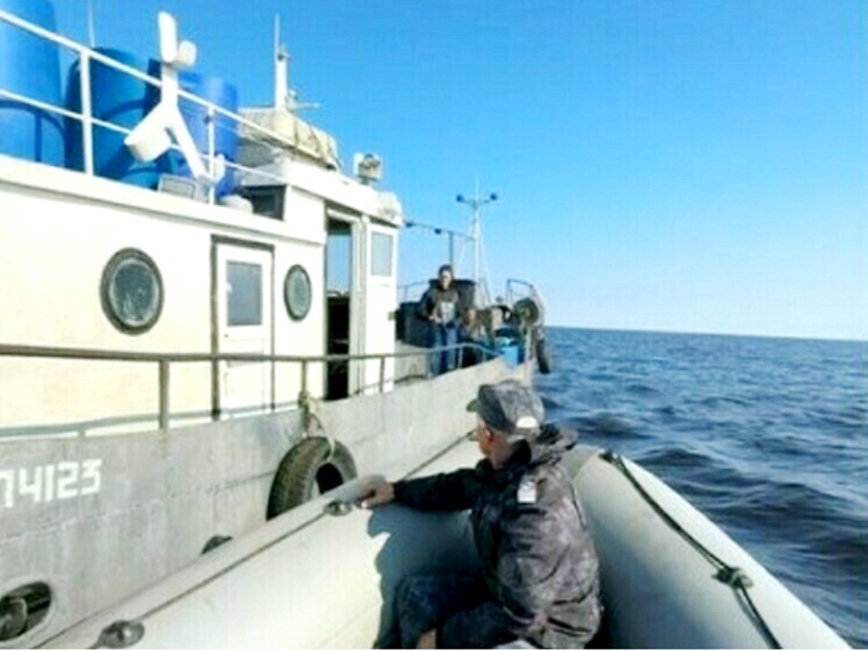 ловля судака с лодки