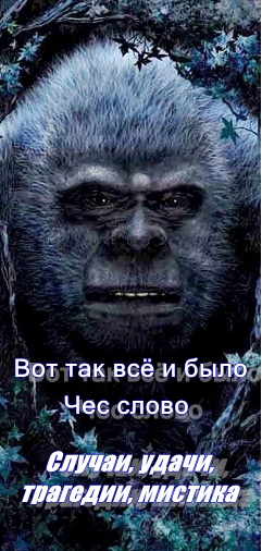 Случаи, удачи, трагедии, мистика 