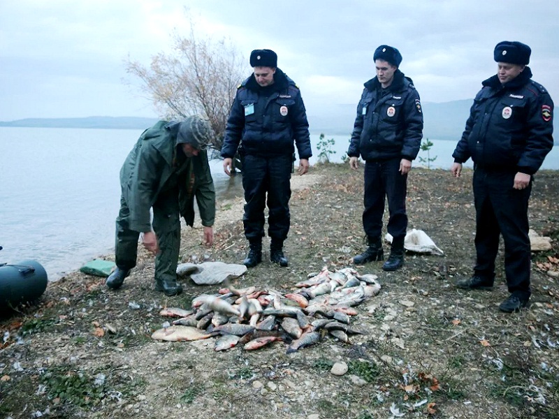 задержание браконьеров