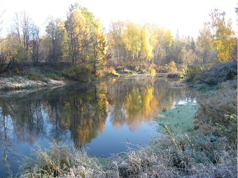 ловля налима осенью