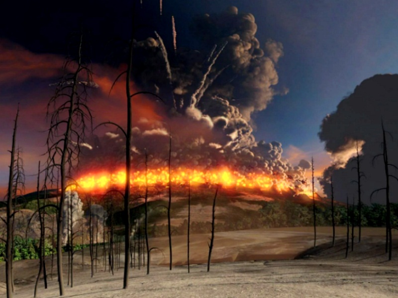 брсд орешник