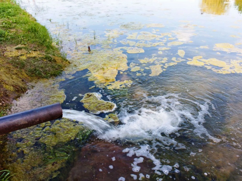 почему исчезла рыба