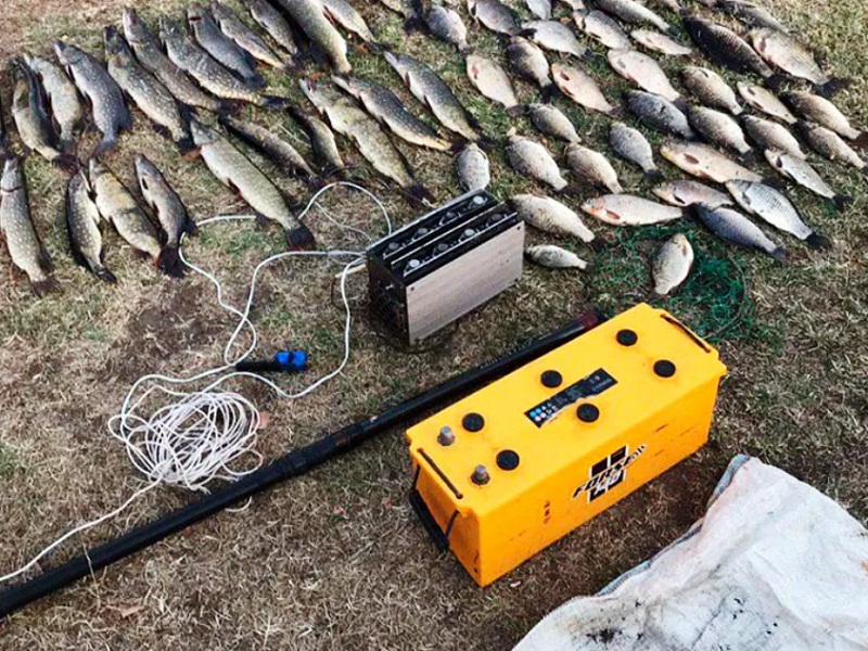 браконьерство рыбы