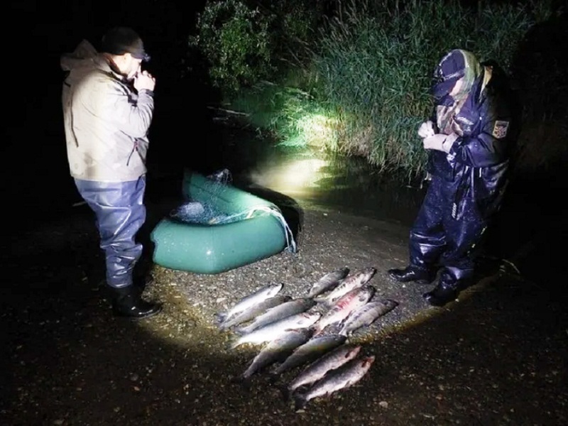 браконьерство рыбы