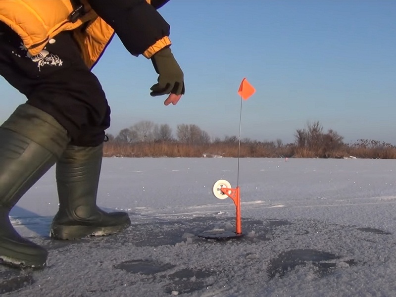 ловля судака на живца