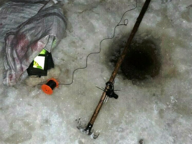 браконьерство рыбы