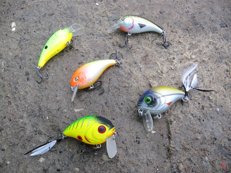 ловля судака весной