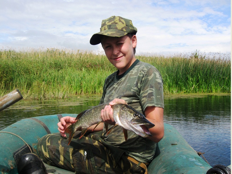 ловля щуки на живца летом