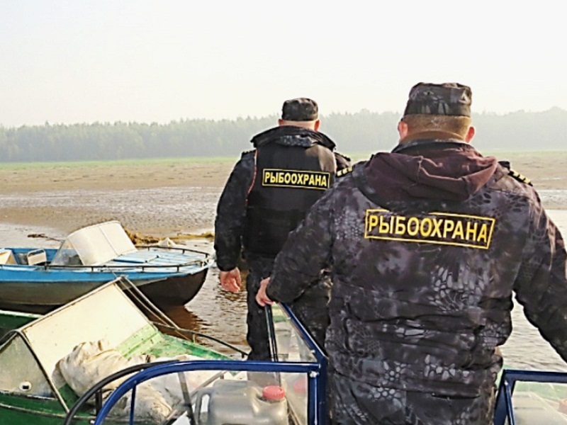 постоянный рейд 