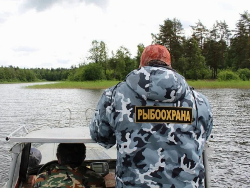 браконьерство сетями