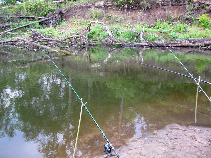 ловля плотвы ранней весной