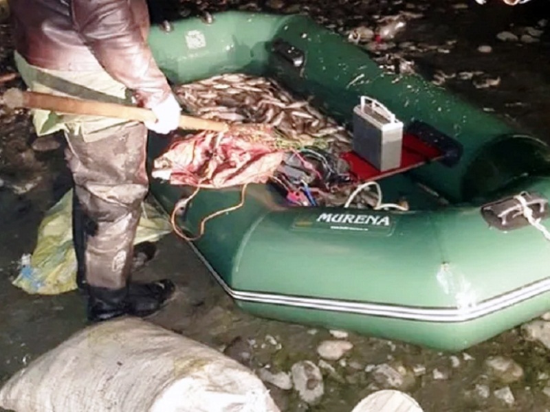 браконьерство рыбы