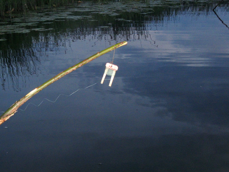 ловля щуки на живца летом