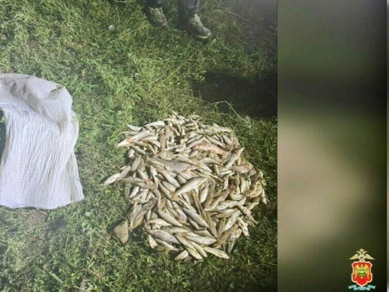 браконьерство рыбы