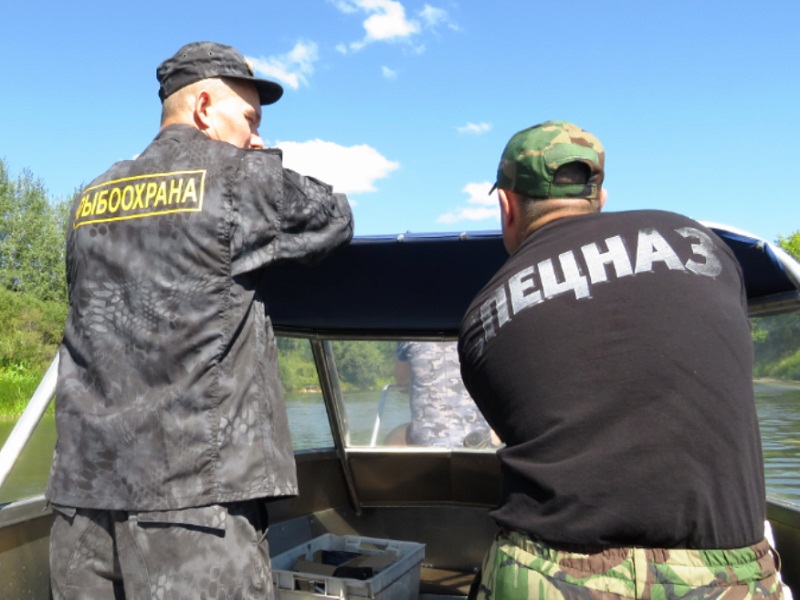 браконьерство рыбалка
