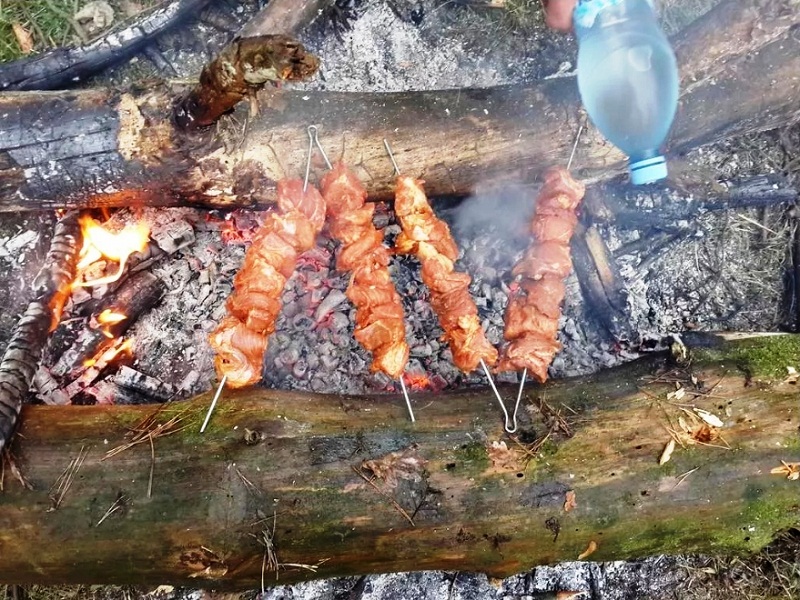 Шашлыки в лесу