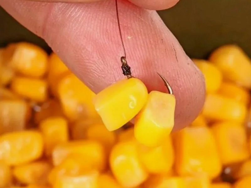 ловля карася летом