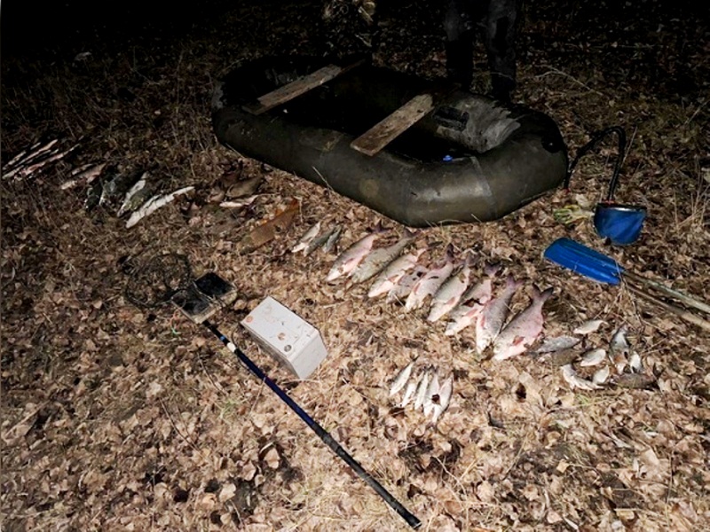 браконьерство рыбы