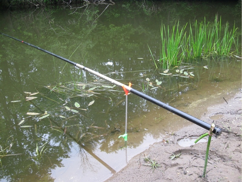 ловля рыбы летом