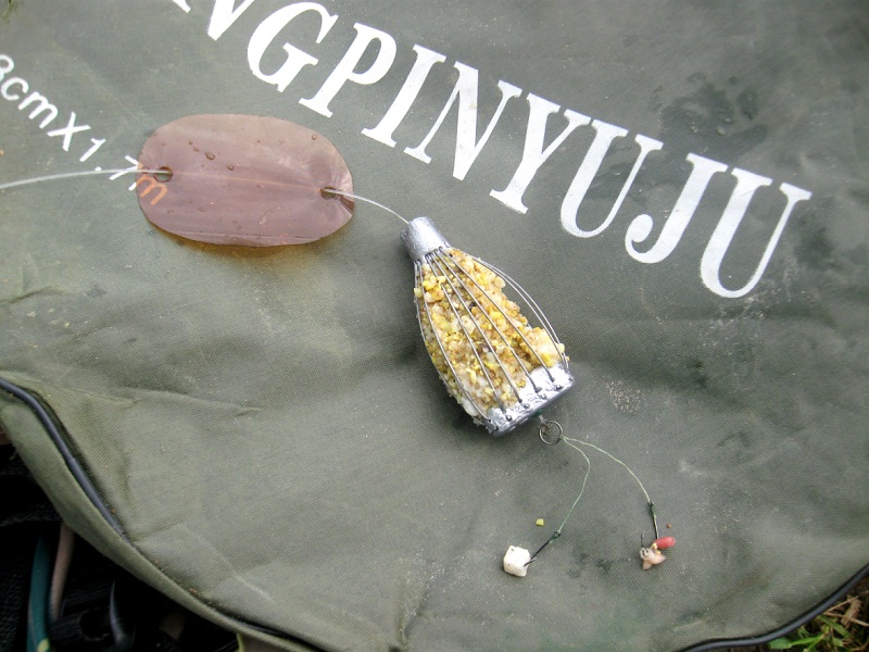 ловля карася летом