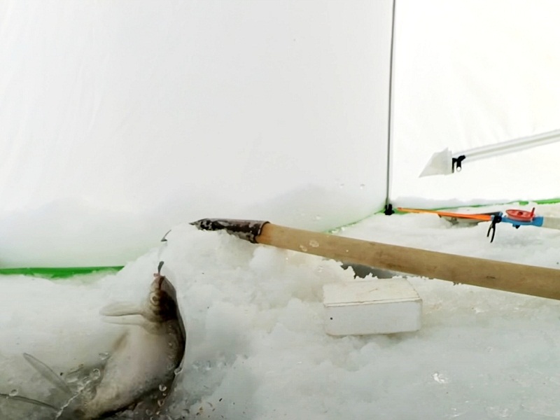 ловля леща со льда