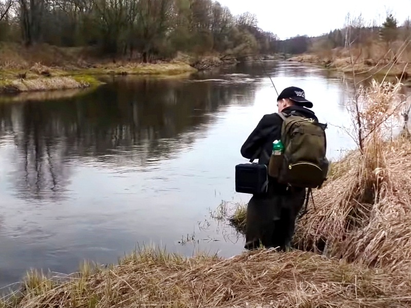 запрет на ловлю щуки весной