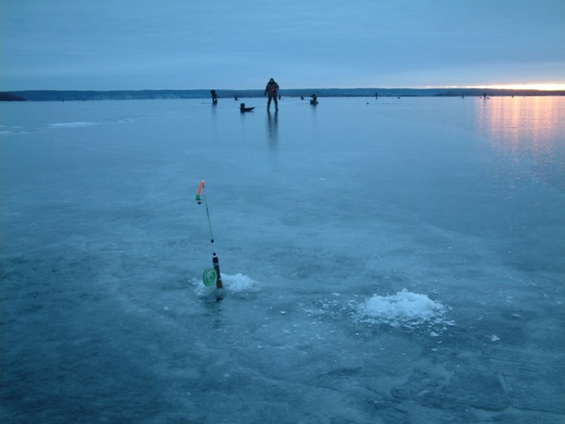 ловля судака +на мормышку зимой