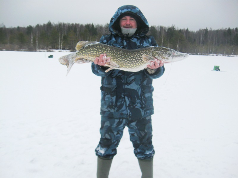 зимняя ловля щуки