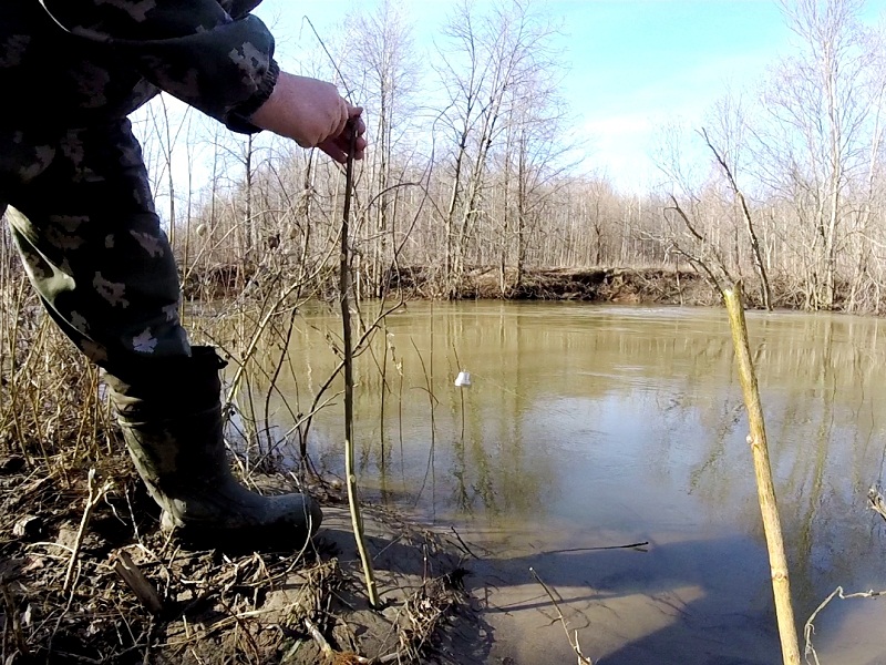 ловля налима весной