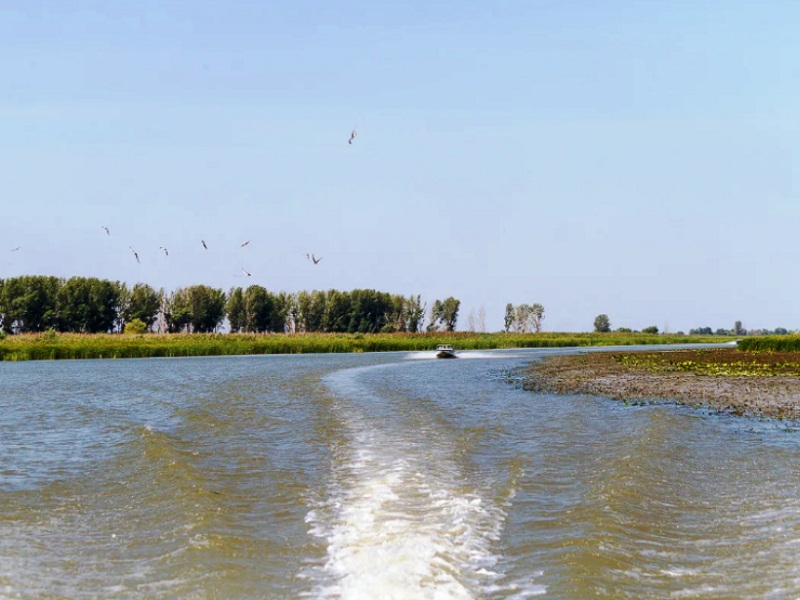 астраханская дельта волги