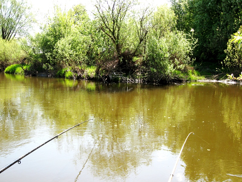 ловля плотвы ранней весной