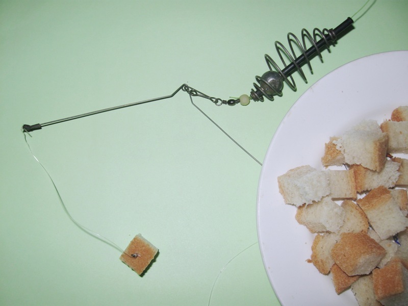 ловля карася летом на фидер