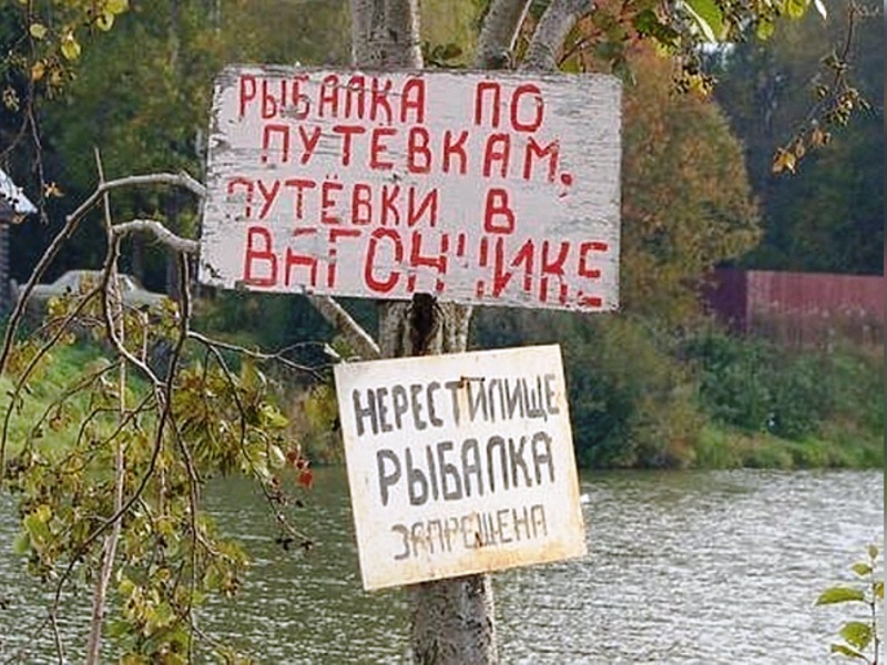 штраф в нерестовый запрет 2025 за рыбалку