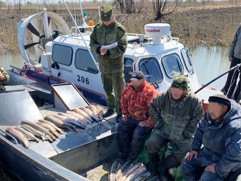 браконьерство рыбы