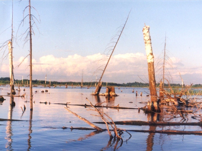 зона затопления