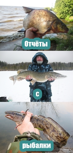  Отчёты с рыбалки 